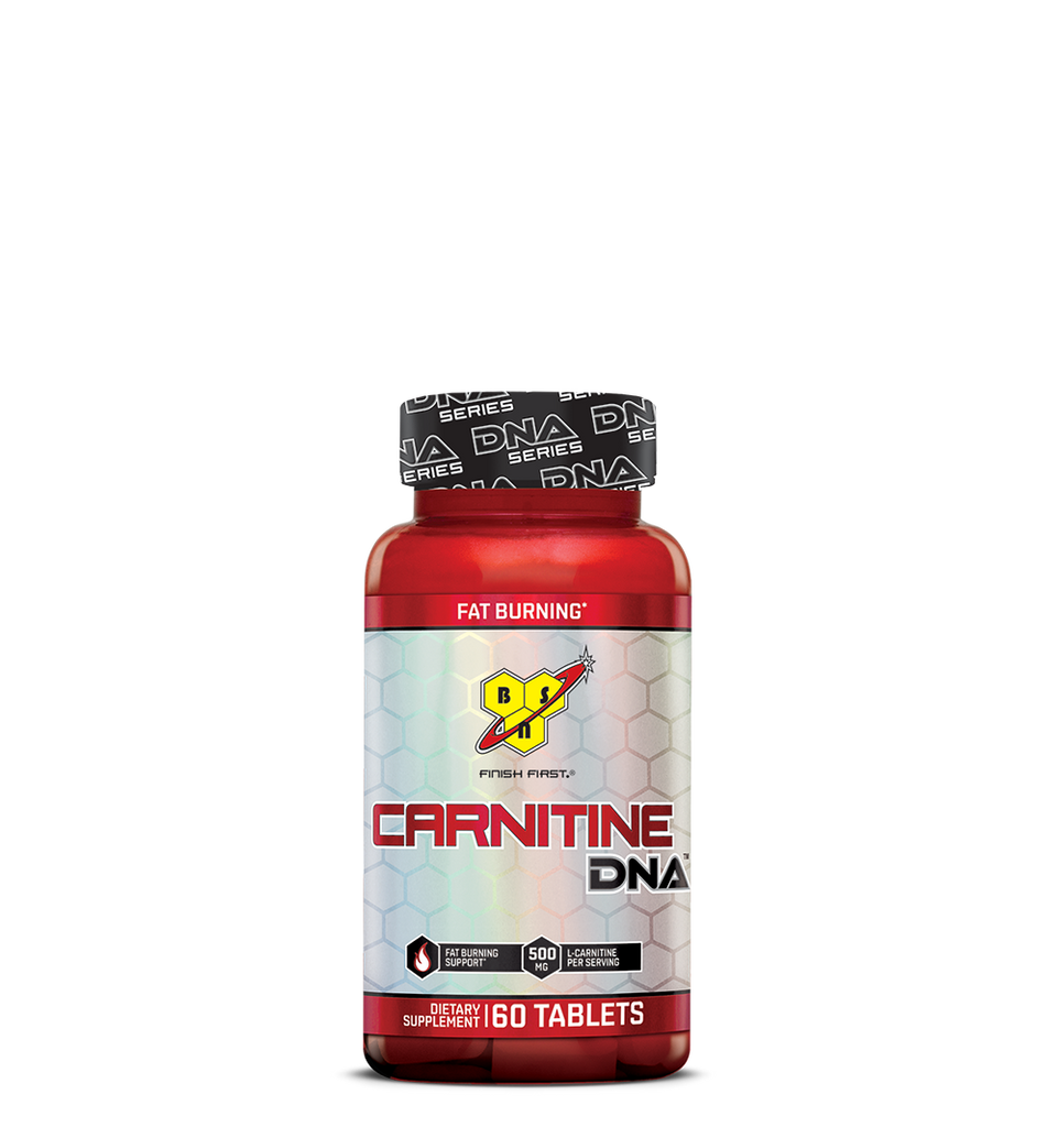 CARNITINE DNA