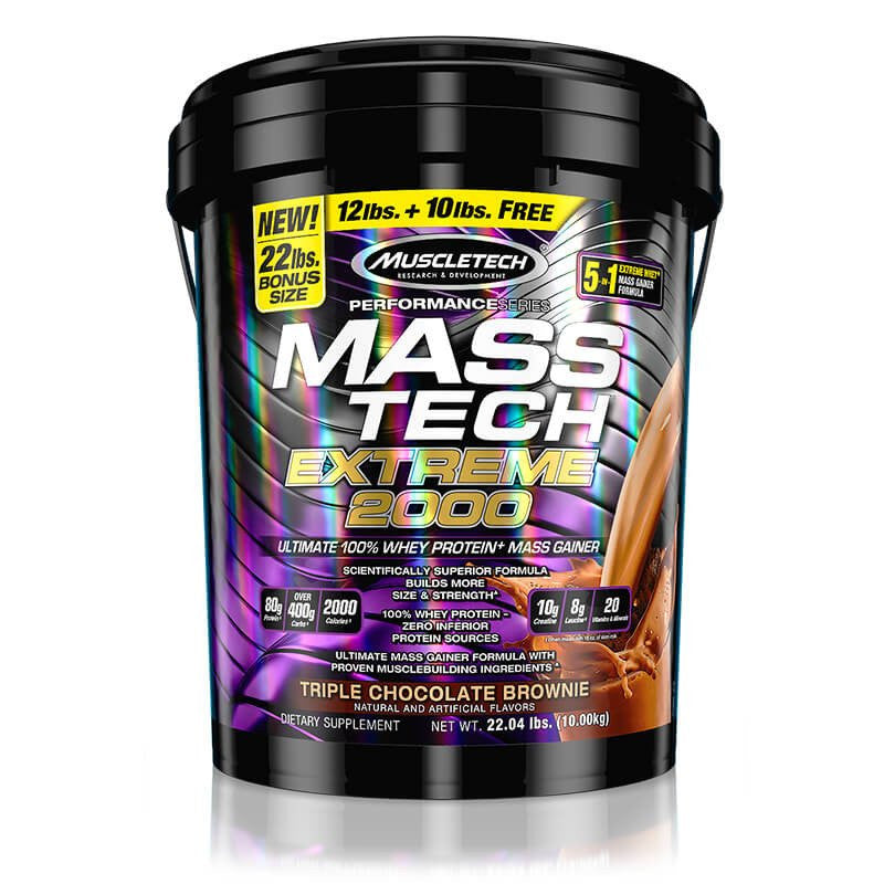 MT MASS TECH PERF EXTREME 22lb